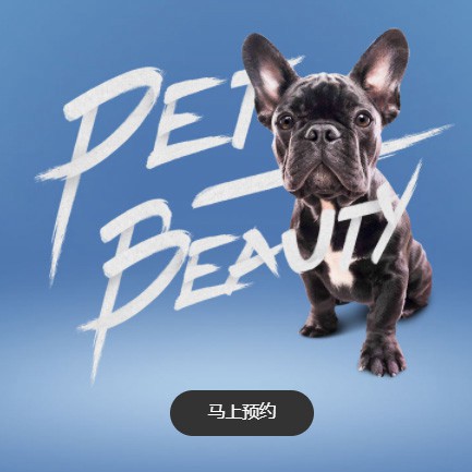 延边朝鲜族宠物中心小程序开发